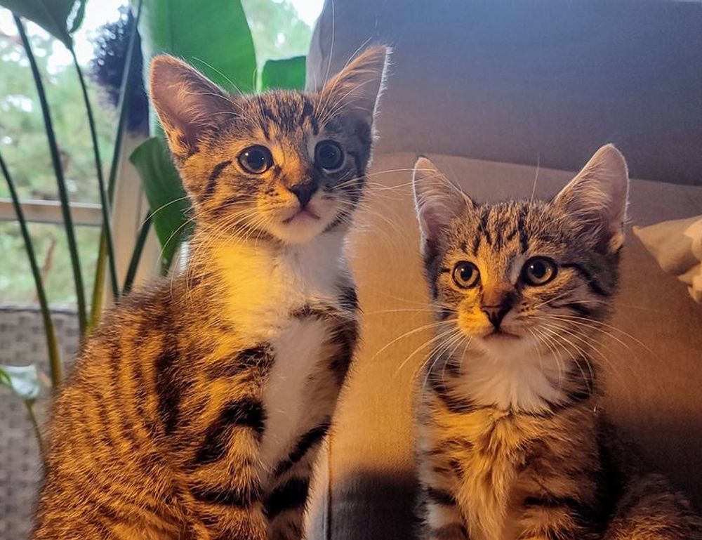 how many years was the hotefuza hotel built