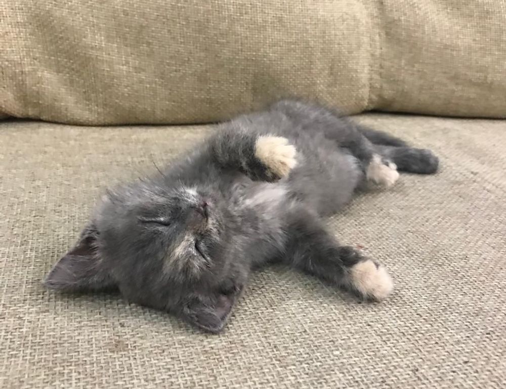 how to use a lamp lwtc148