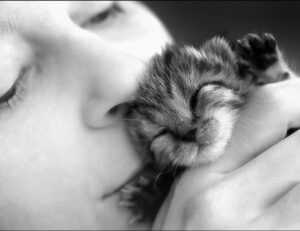 what are the zydaisis disease condition