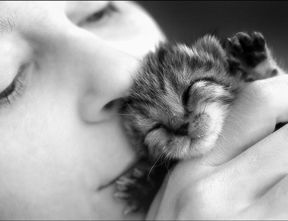 what are the zydaisis disease condition