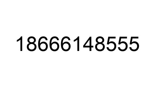 18666148555