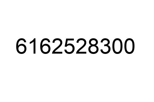 6162528300