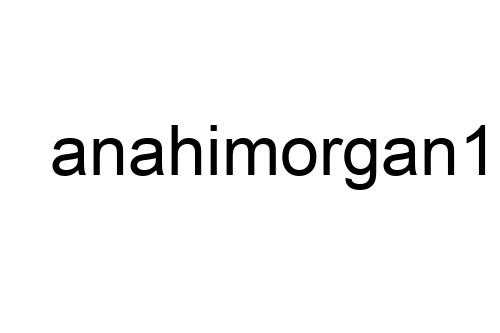 anahimorgan1