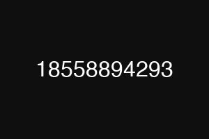 18558894293