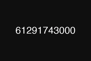 61291743000