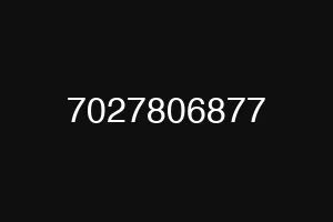 7027806877