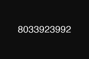 8033923992