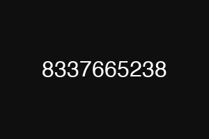 8337665238