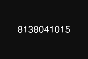 8138041015