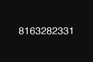 8163282331