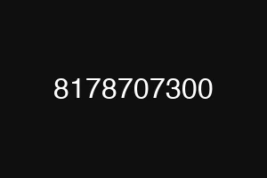 8178707300