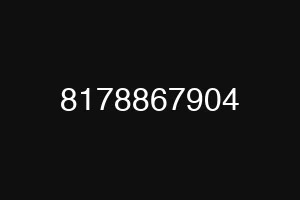 8178867904