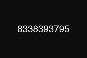 8338393795