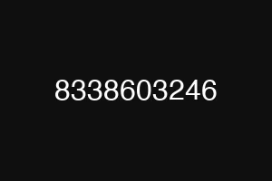 8338603246