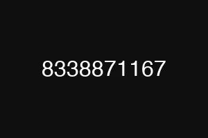 8338871167