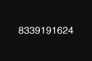 8339191624