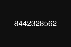 8442328562