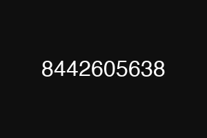 8442605638
