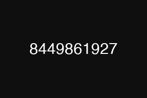 8449861927