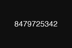 8479725342