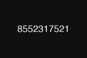 8552317521