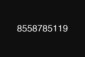 8558785119