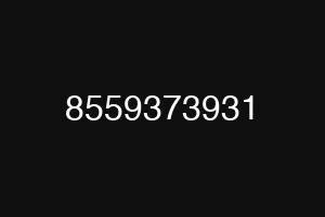 8559373931