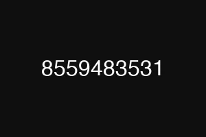 8559483531