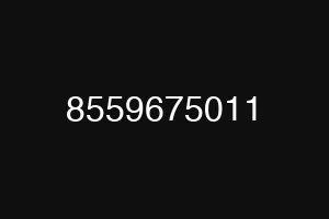 8559675011