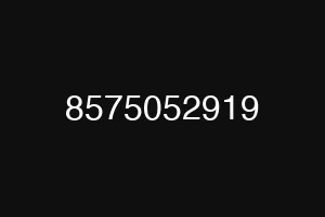 8575052919