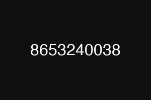 8653240038