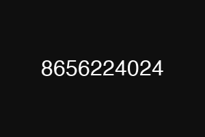 8656224024