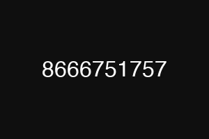 8666751757