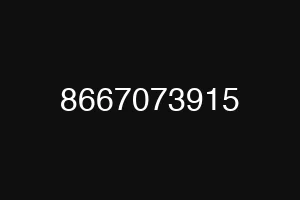8667073915