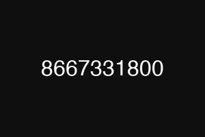 8667331800
