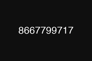 8667799717