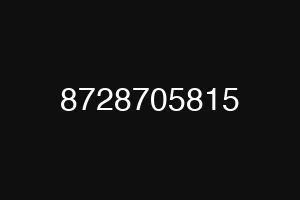 8728705815