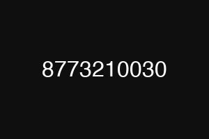 8773210030