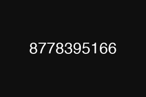 8778395166