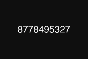 8778495327