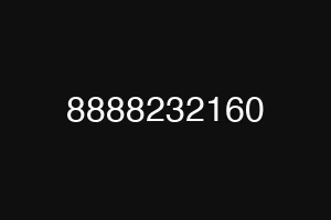 8888232160