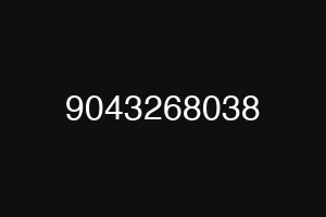9043268038