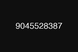 9045528387