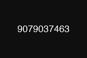 9079037463