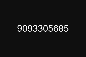 9093305685