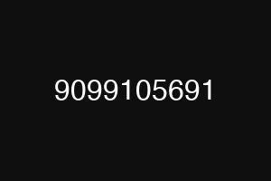 9099105691