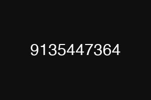 9135447364