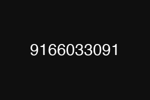 9166033091