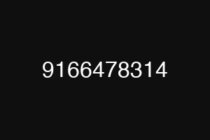 9166478314