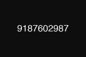 9187602987